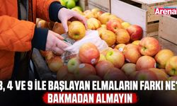 3, 4 ve 9 ile başlayan elmaların farkı ne? Bakmadan almayın!