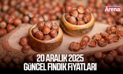 20 Aralık 2025 güncel fındık fiyatları