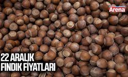 22 Aralık 2025 fındık fiyatları
