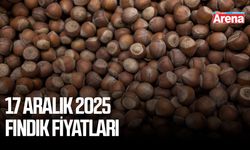 17 Aralık 2025 fındık fiyatları