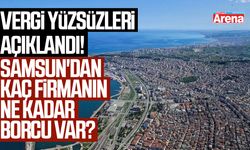 Vergi yüzsüzleri açıklandı: Samsun'dan şok eden detaylar!