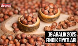 19 Aralık 2025 güncel fındık fiyatları