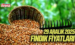 29 Aralık 2025 fındık fiyatları