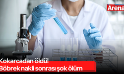 Kokarcadan öldü! Böbrek nakli sonrası şok ölüm