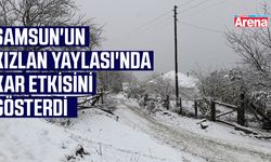 Samsun'un Kızlan Yaylası'nda kar etkisini gösterdi