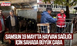 19 Mayıs'ta hayvan sağlığı çalışmaları devam ediyor