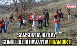 Samsun'da Kızılay gönüllüleri Havza'da fidan dikti
