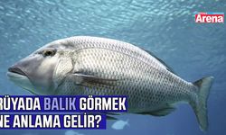 Rüyada balık görmek ne anlama gelir?