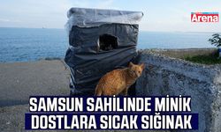 Samsun sahilinde minik dostlara sıcak sığınak