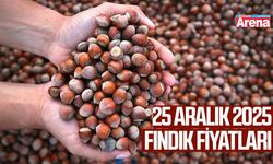 25 Aralık güncel fındık fiyatları
