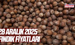 28 Aralık 2025 fındık fiyatları