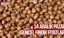 14 Aralık 2025 fındık fiyatları