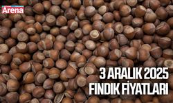 3 Aralık 2025 fındık fiyatları