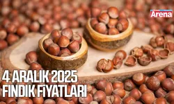 5 Aralık 2025 Samsun güncel fındık fiyatları