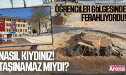 Okul bahçesindeki asırlık çınar ağacı kesildi!