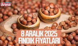 8 Aralık 2025 fındık fiyatları açıklandı: İl il güncel liste