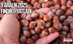 9 Aralık 2025 fındık fiyatları güncellendi