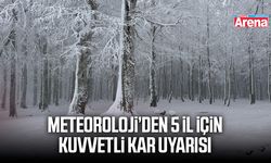 Meteoroloji’den 5 il için kuvvetli kar uyarısı