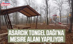 Asarcık Tongel Dağı’na mesire alanı yapılıyor