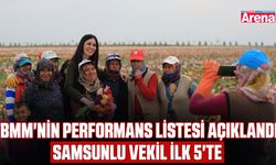 TBMM performans listesini açıkladı: Samsunlu vekil ilk 5'te