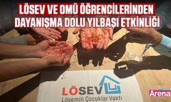 LÖSEV ve OMÜ öğrencilerinden dayanışma dolu yılbaşı etkinliği