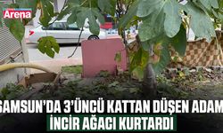 Samsun’da 3’üncü kattan düşen adamı incir ağacı kurtardı