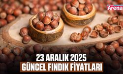 23 Aralık 2025 güncel fındık fiyatları