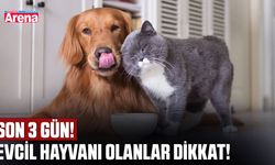 Son 3 gün! Evcil hayvanı olanlar dikkat!