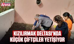 Kızılırmak Deltası’nda küçük çiftçiler yetişiyor