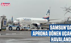 Samsun'da aprona dönen uçak havalandı