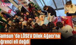 Samsun 'da LÖSEV Dilek Ağacı'na öğrenci eli değdi
