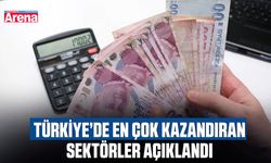 Türkiye’de en çok kazandıran sektörler açıklandı
