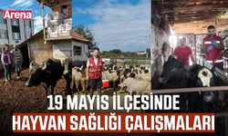 19 Mayıs’ta hayvan sağlığı çalışmaları sürüyor