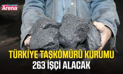 Türkiye Taşkömürü Kurumu 263 işçi alacak