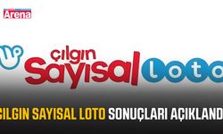 Çılgın Sayısal Loto sonuçları açıklandı