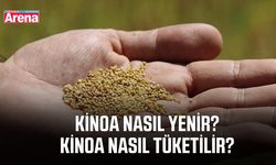 Kinoa nasıl yenir? Kinoa nasıl tüketilir? Kinoanın faydaları