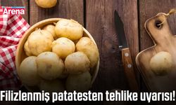 Filizlenmiş patatesten tehlike uyarısı!
