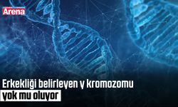 Erkekliği belirleyen y kromozomu yok mu oluyor