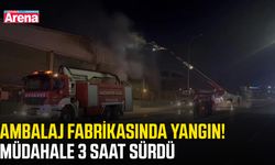 Ambalaj fabrikasında yangın! Müdahale 3 saat sürdü