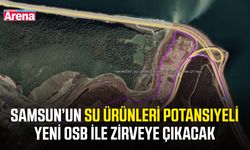 Samsun’un su ürünleri potansiyeli yeni OSB ile zirveye çıkacak