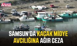 Samsun'da kaçak midye avcılığına ağır ceza