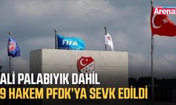 Ali Palabıyık dahil 9 hakem PFDK’ya sevk edildi