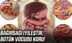 Bağırsağı iyileştir, bütün vücudu koru!