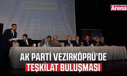 AK Parti Vezirköprü’de teşkilat buluşması