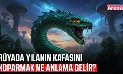 Rüyada yılanın kafasını koparmak ne anlama gelir?