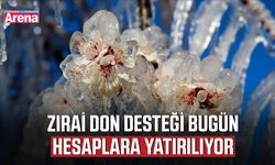 Zirai don desteği bugün hesaplara yatırılıyor