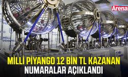 Milli Piyango 12 bin TL kazanan numaralar açıklandı