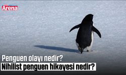 Penguen olayı nedir? Nihilist penguen hikayesi nedir?