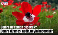 Cemre ne zaman düşecek? Cemre düşmesi nedir, neyin habercisi?