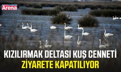 Kızılırmak Deltası Kuş Cenneti ziyarete kapatılıyor